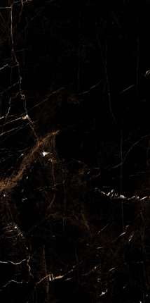 Арткер Marble Tropic Black 60x120