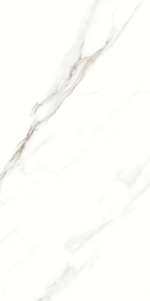 Fantastic White 120x60 (600x1200)