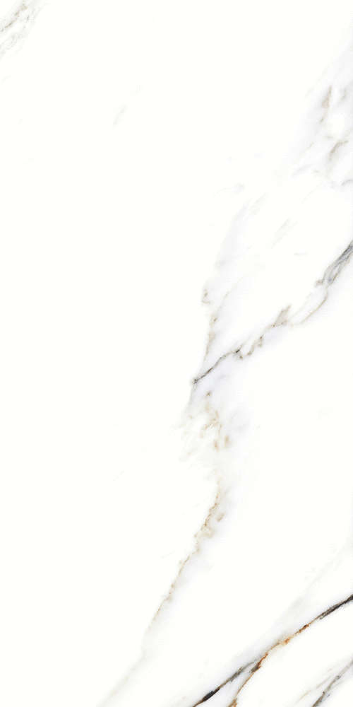 Fantastic White 120x60 (600x1200)