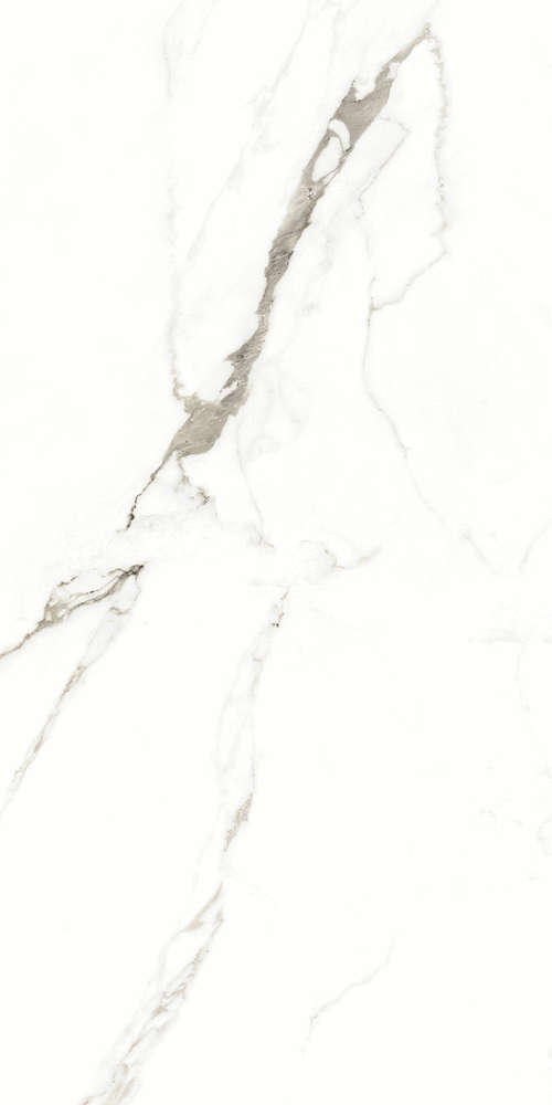 Fantastic White 120x60 (600x1200)