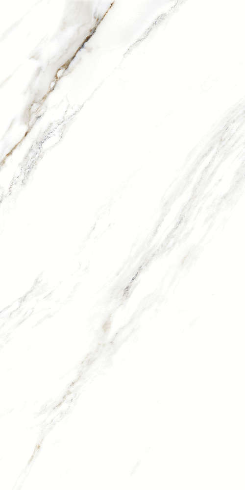 Fantastic White 120x60 (600x1200)