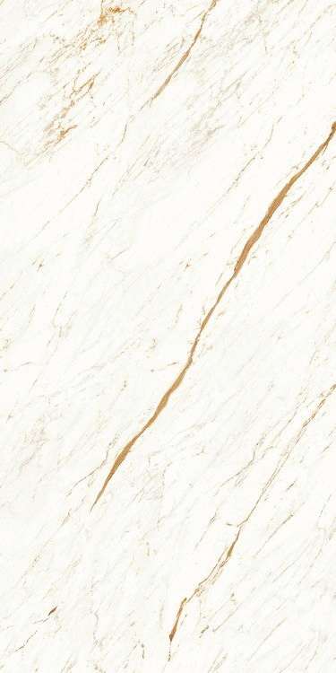 Nero White Carving 120x60 (600x1200)