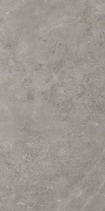 Арткер Stone Luish Gris 120x60