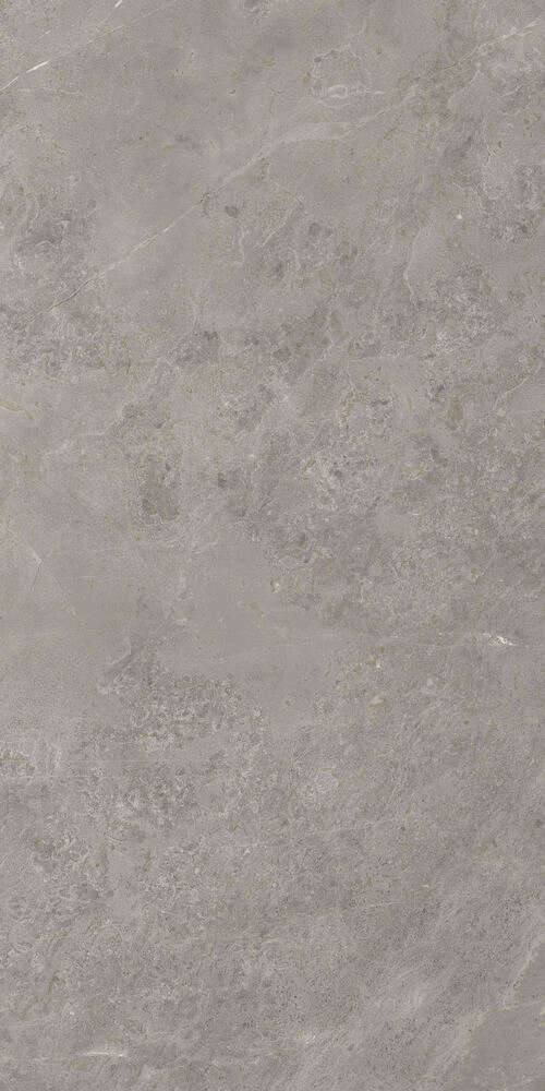 Luish Gris 120x60 (600x1200)