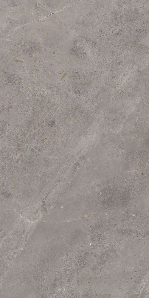 Luish Gris 120x60 (600x1200)