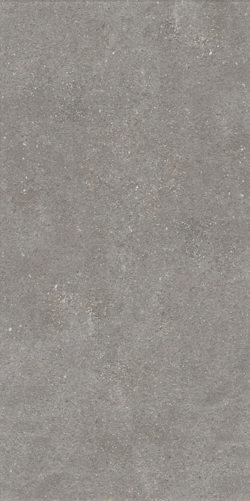 Graniti Grey Matt 9 mm GHR 120x60 (600x1200)