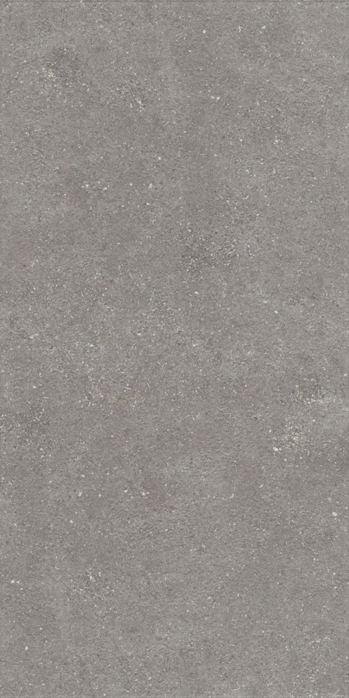 Graniti Grey Matt 9 mm GHR 120x60 (600x1200)