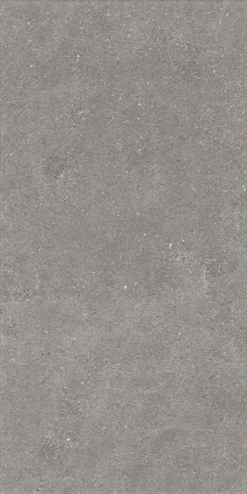 Graniti Grey Matt 9 mm GHR 120x60 (600x1200)