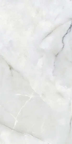 Onici Biancio 60x120 (600x1200)