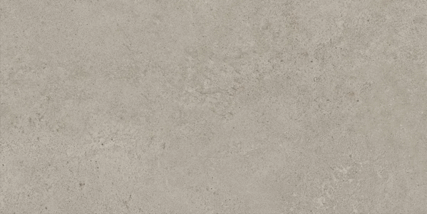 Grey Matt 30x60 (600x300)