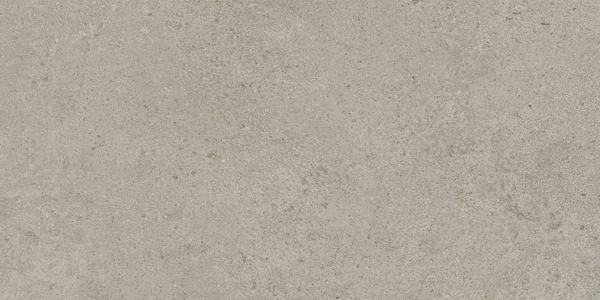Grey Matt 30x60 (600x300)