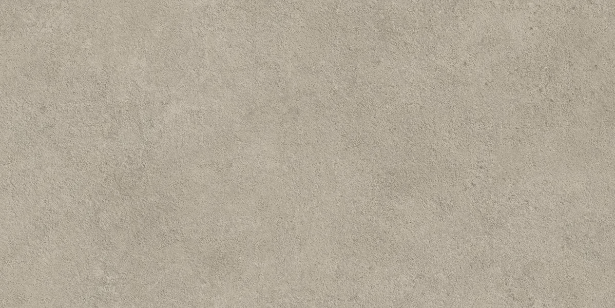 Ash Outdoor 20mm 60x120 (1200x600)