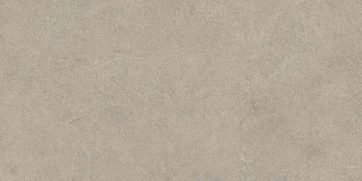 Ash Outdoor 20mm 60x120 (1200x600)