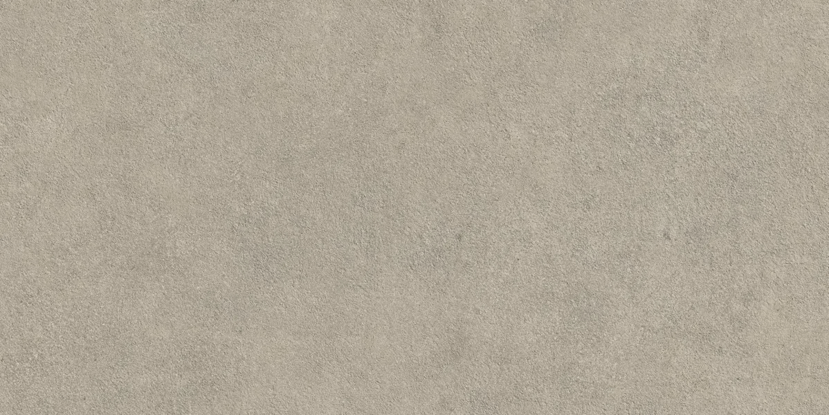 Ash Outdoor 20mm 60x120 (1200x600)