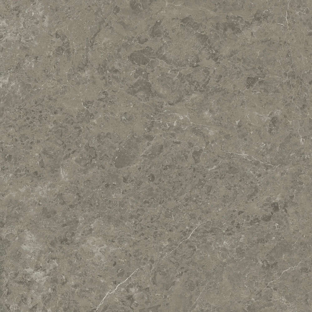 Grigio Elegante 120x120 Velvet (1200x1200)