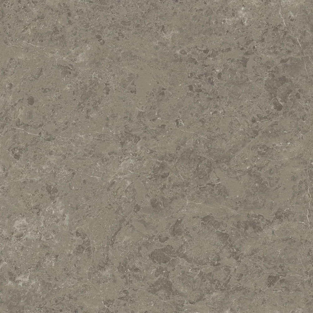 Grigio Elegante 120x120 Velvet (1200x1200)