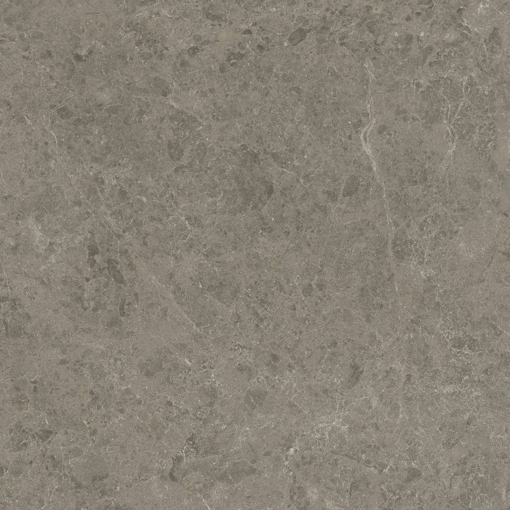 Grigio Elegante 120x120 Velvet (1200x1200)