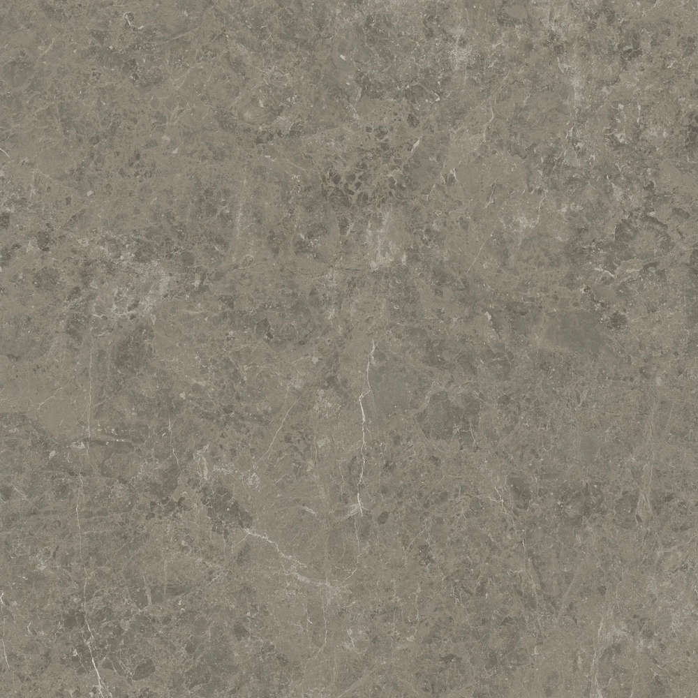 Grigio Elegante 120x120 Velvet (1200x1200)