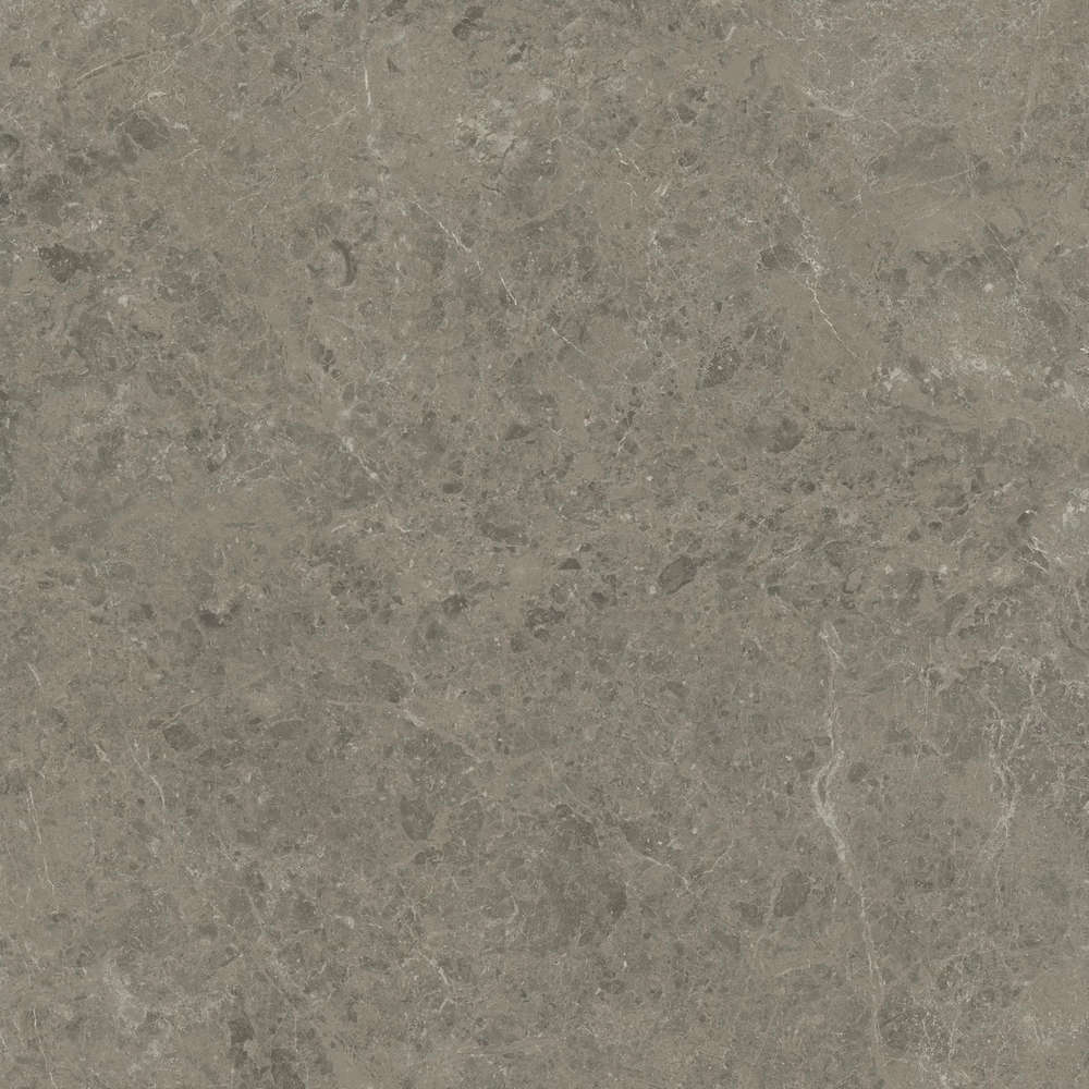 Grigio Elegante 120x120 Velvet (1200x1200)