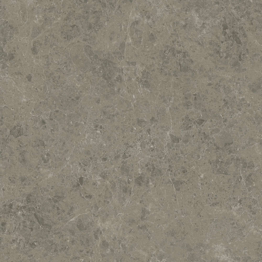 Grigio Elegante 120x120 Velvet (1200x1200)