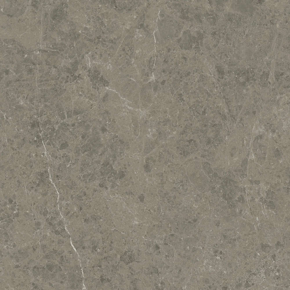 Grigio Elegante 120x120 Velvet (1200x1200)