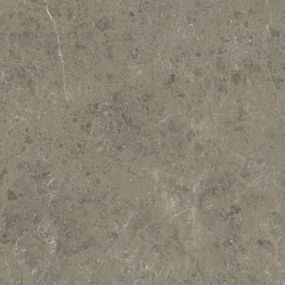 Grigio Elegante 120x120 Velvet (1200x1200)