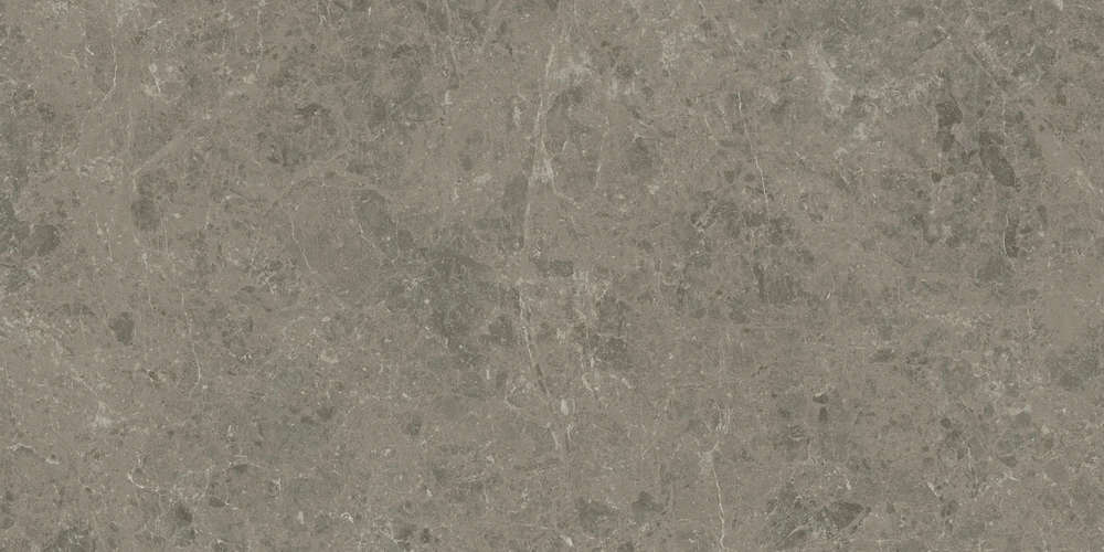 Grigio Elegante 60x120 (1200x600)