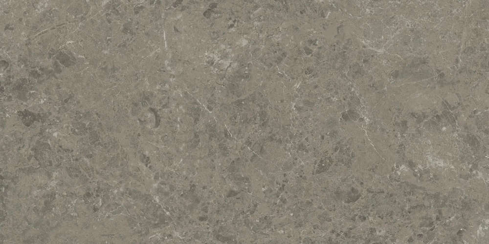 Grigio Elegante 60x120 Velvet (1200x600)