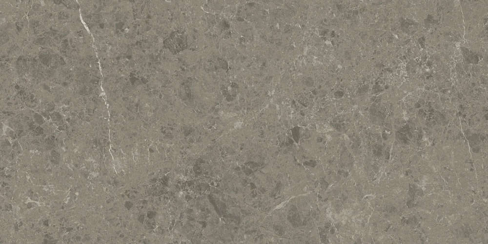 Grigio Elegante 60x120 Velvet (1200x600)