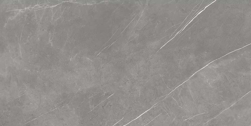 Elegant Grey Rett 80x160 (1600x800)