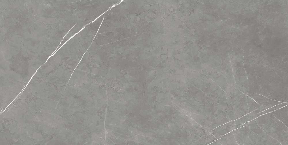 Elegant Grey Rett 80x160 (1600x800)