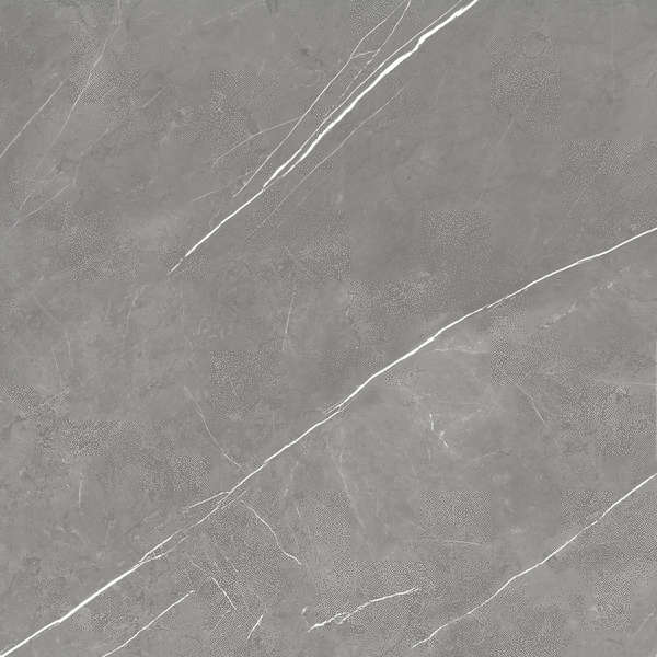 Elegant Grey Lastra 20mm (600x600)