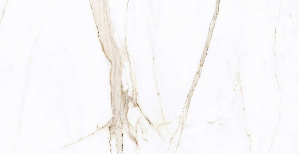 White 60x120 Glossy (1200x600)