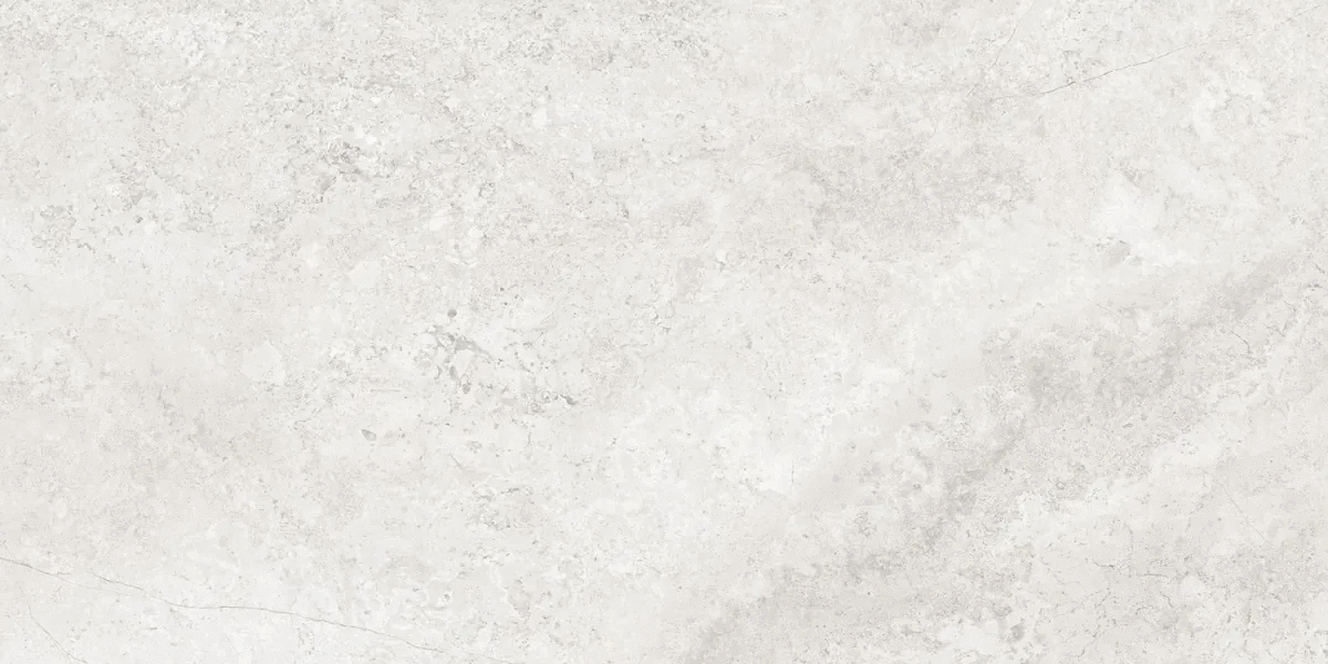 Silver Matt 60х120 (1200x600)