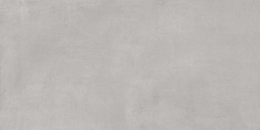 Grey 60x120 Matt (1200x600)