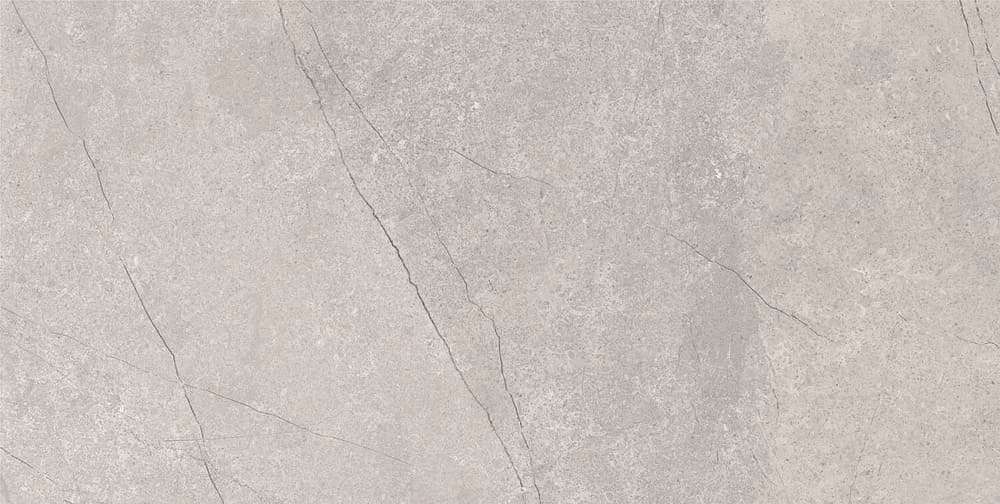 Grey 60x120 Matt (1200x600)