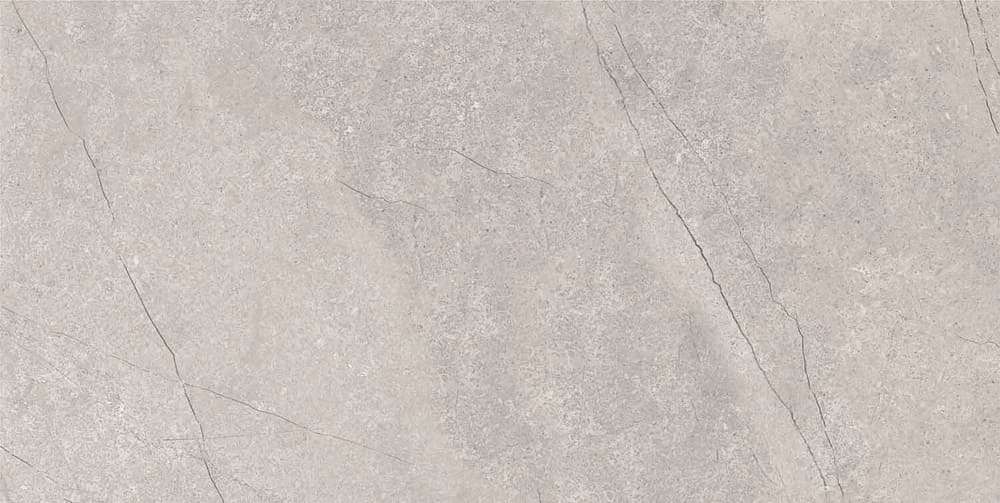 Grey 60x120 Matt (1200x600)