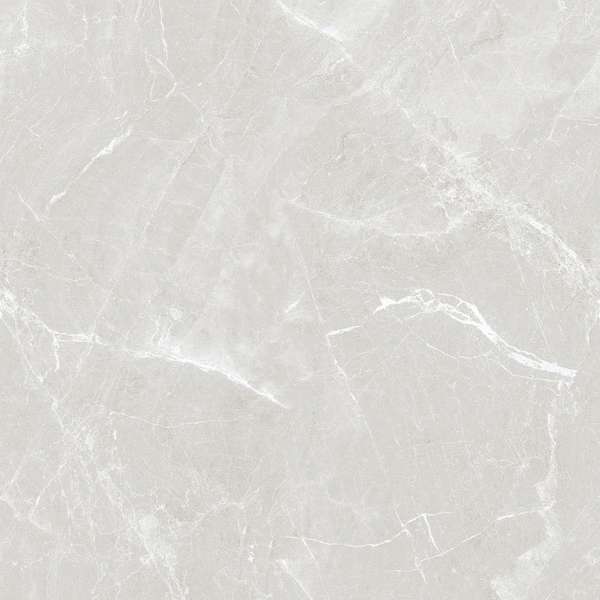 Grey 60x60 Glossy (600x600)