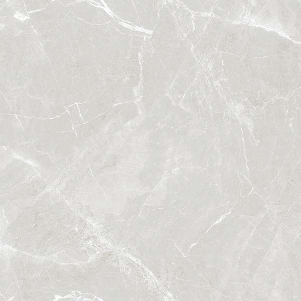 Grey 60x60 Glossy (600x600)