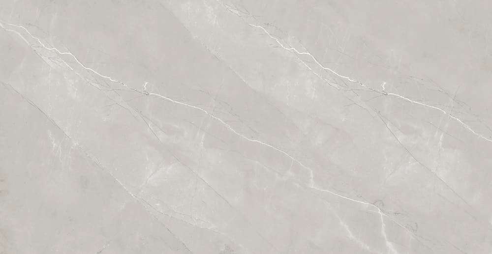 Grey 60x120 Glossy (1200x600)