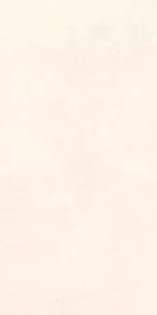 Light 31.5x63 (315x630)