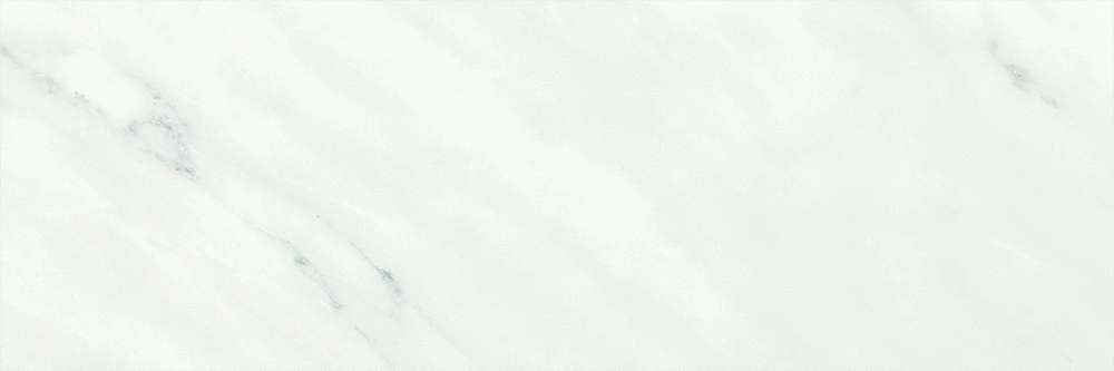 White rect. (1000x333)