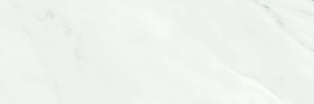 White rect. (1000x333)