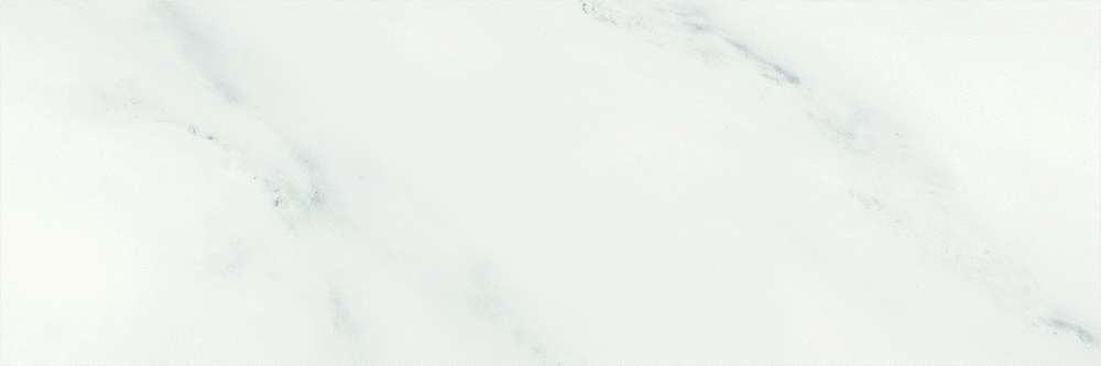 White rect. (1000x333)