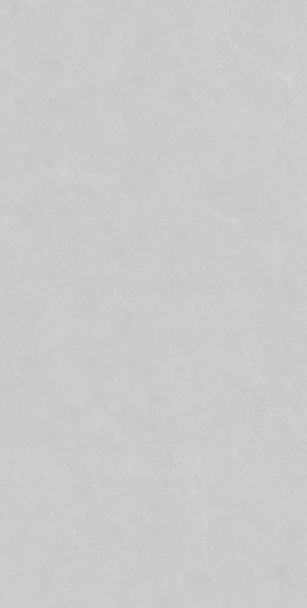 Light Grey Rect Matt 60x120 (600x1200)
