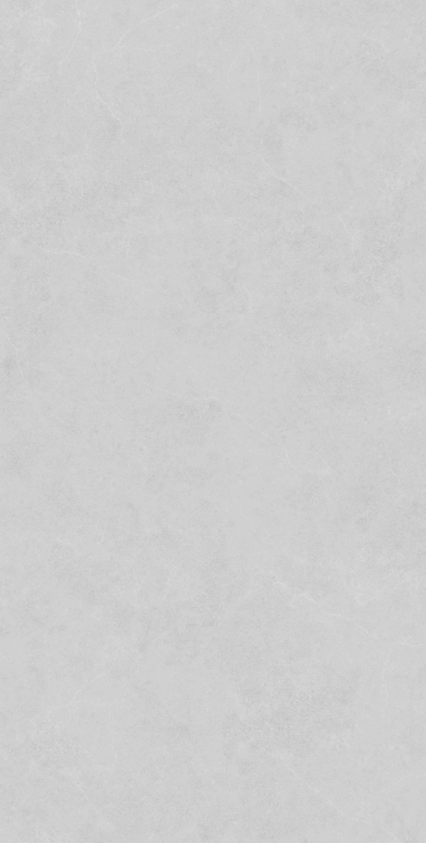 Light Grey Rect Matt 60x120 (600x1200)