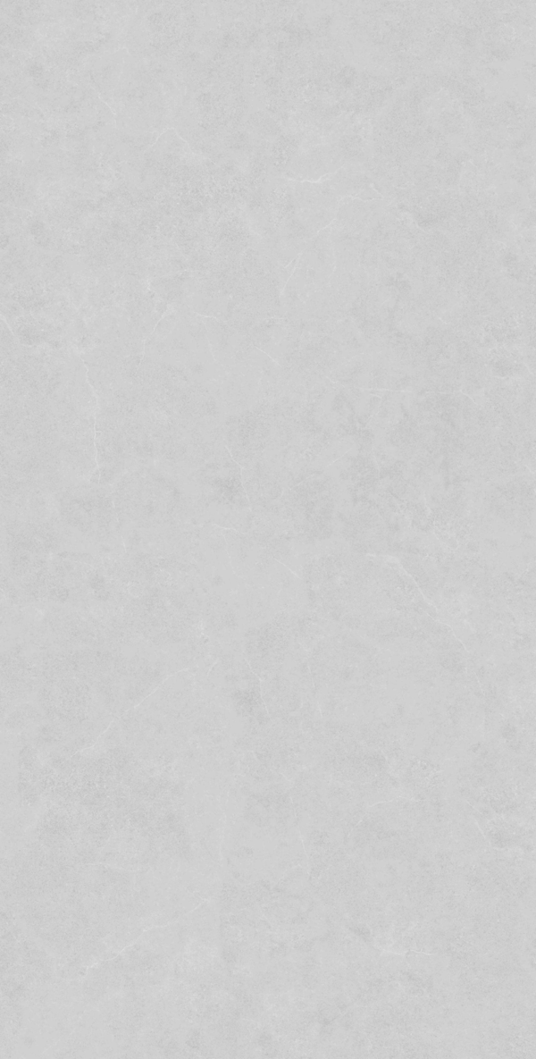 Light Grey Rect Matt 60x120 (600x1200)