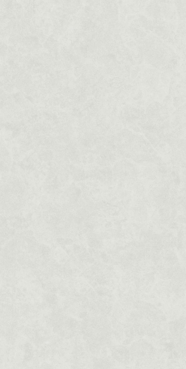 White Rect Matt 60x120 (600x1200)