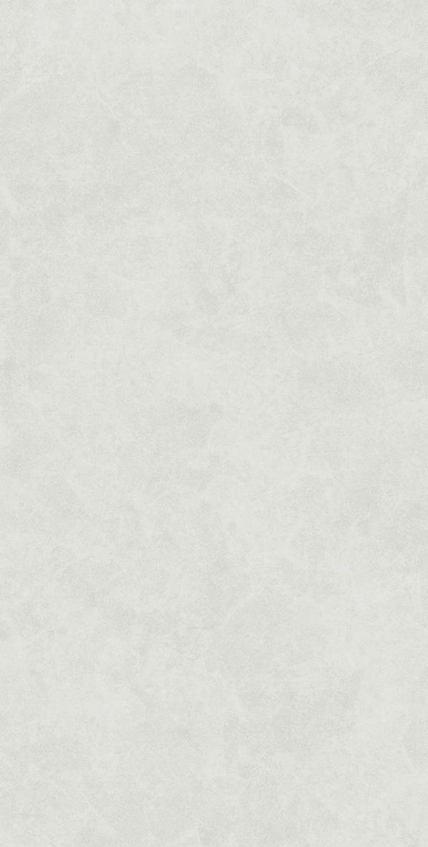 White Rect Matt 60x120 (600x1200)