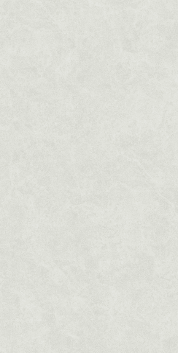 White Rect Matt 60x120 (600x1200)
